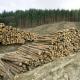 Европа отбирает украинский лес кругляк